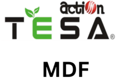 action tesa logo